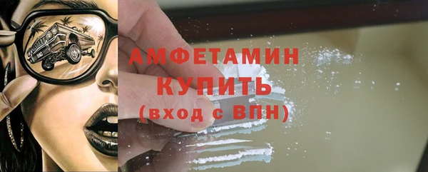 прущие грибы Абинск