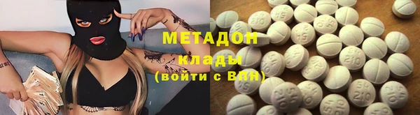 прущие грибы Абинск