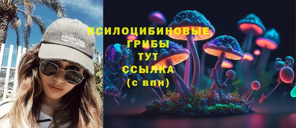 прущие грибы Абинск