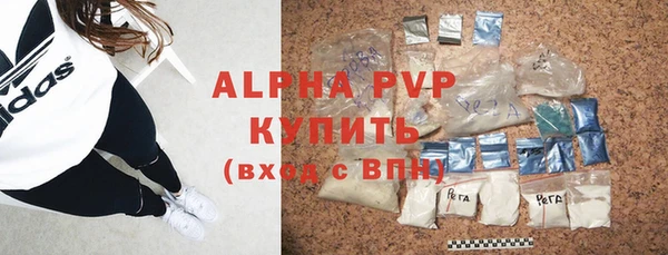 прущие грибы Абинск