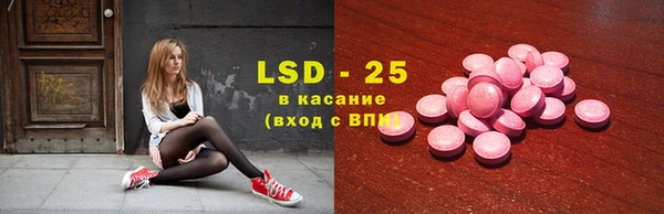 прущие грибы Абинск