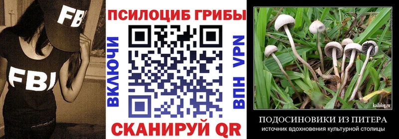 Галлюциногенные грибы Psilocybe  Власиха 