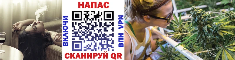 Канабис индика  продажа наркотиков  Власиха 